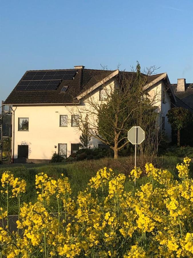 Ferienwohnung Auf Dem Maifeld Gappenach Екстериор снимка